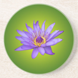 Posavasos De Arenisca Flor de Nenúfar Estanque Acuático Púrpura Flor de