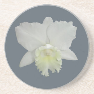 Posavasos De Arenisca Flor de orquídea blanca