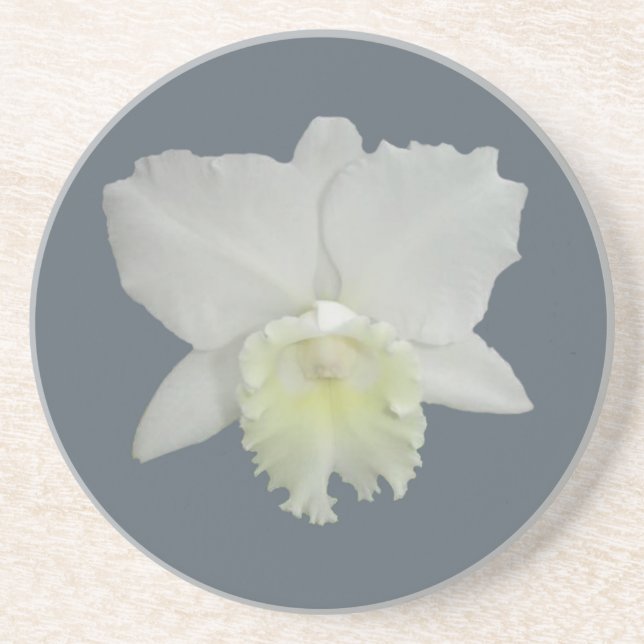 Posavasos De Arenisca Flor de orquídea blanca (Frente)