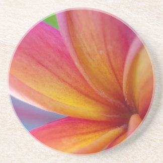 Posavasos De Arenisca Flor de Plumeria Tropical Rosa Profunda Naranja Am