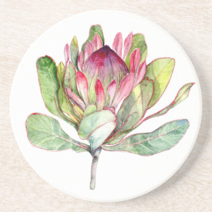 Posavasos De Arenisca Flor Protea