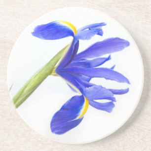 Posavasos De Arenisca Flor púrpura del iris