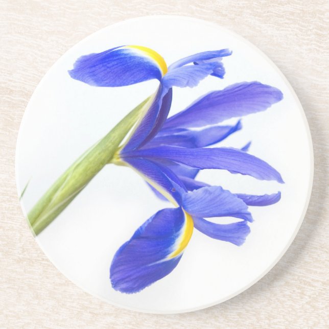 Posavasos De Arenisca Flor púrpura del iris (Frente)