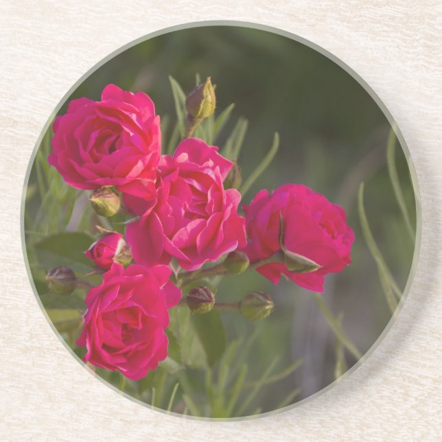 Posavasos De Arenisca Flor rosa (Frente)