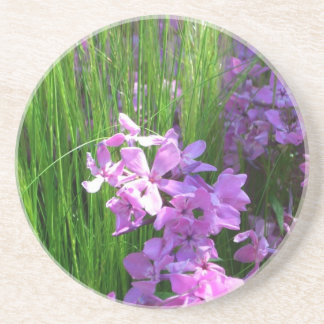 Posavasos De Arenisca Flor rosa de verano y hierba