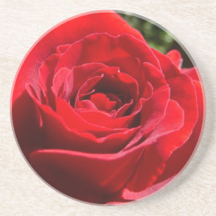 Posavasos De Arenisca Flor rosa roja brillante hermosa flor