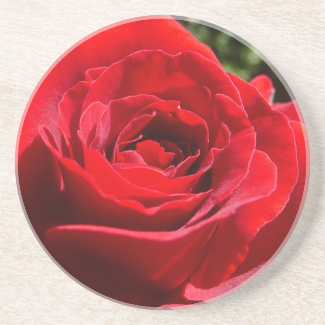 Posavasos De Arenisca Flor rosa roja brillante hermosa flor (Frente)