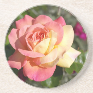 Posavasos De Arenisca flor rosa rosa bonito y amarilla. Floral
