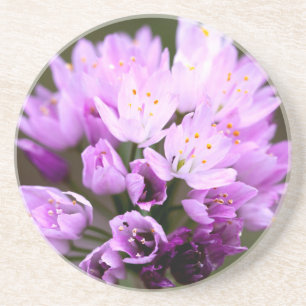 Posavasos De Arenisca Flor salvaje