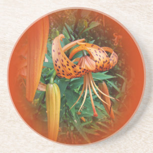 Posavasos De Arenisca Flor silvestre Cap Lily de Turquía