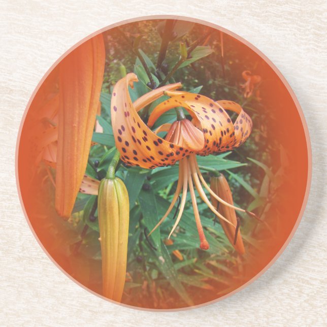 Posavasos De Arenisca Flor silvestre Cap Lily de Turquía (Frente)