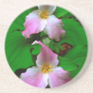 Posavasos De Arenisca Flor silvestre Trillium