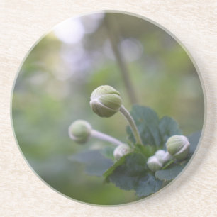 Posavasos De Arenisca Flor Verde Huerto Jardín Naturaleza Fotografía Flo