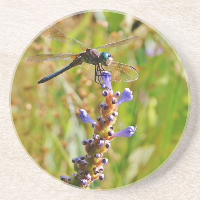 Posavasos De Arenisca Flora de lavanda (Frente)