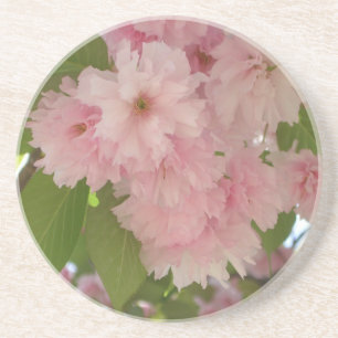 Posavasos De Arenisca Floral de primavera del árbol de cerezo II con dob