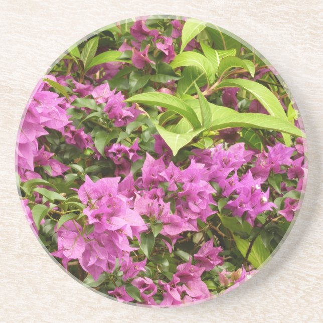 Posavasos De Arenisca Floral Tropical Morada Bougainvillea (Frente)