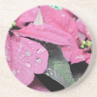 Posavasos De Arenisca Flores