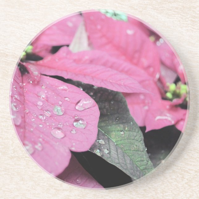 Posavasos De Arenisca Flores (Frente)