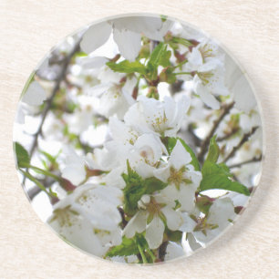Posavasos De Arenisca Flores blancas elegantes de flores blancas