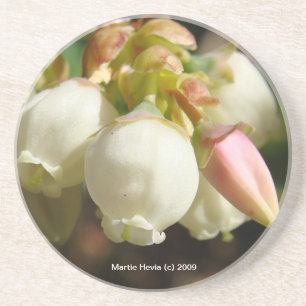 Posavasos De Arenisca Flores de arándano - escayola