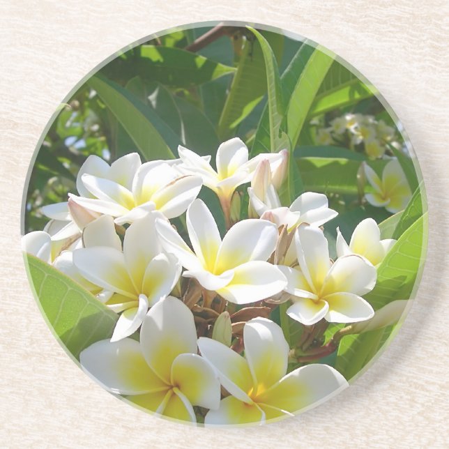 Posavasos De Arenisca Flores de árbol (Frente)