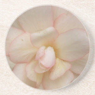 Posavasos De Arenisca Flores de Begonia blanca