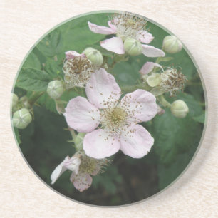 Posavasos De Arenisca Flores de Blackberry