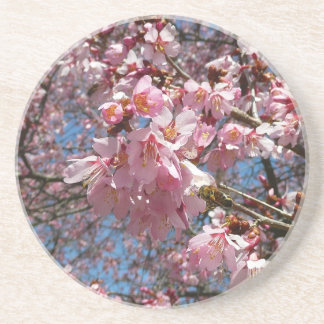 Posavasos De Arenisca Flores de cerezo y de primavera rosada de abeja