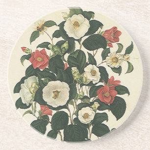 Posavasos De Arenisca Flores de flores de vintage, Rosas de los jardines
