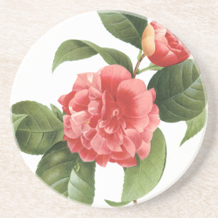 Posavasos De Arenisca Flores de flores vintage, de camelia rosa por Redo