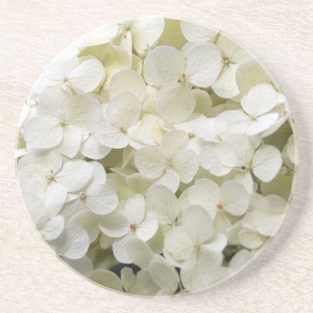Posavasos De Arenisca Flores de hidrangea blanca (Frente)