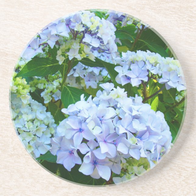 Posavasos De Arenisca Flores de Hydrangea azul arenisca (Frente)