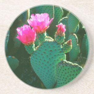 Posavasos De Arenisca Flores de Opuntia basilaris