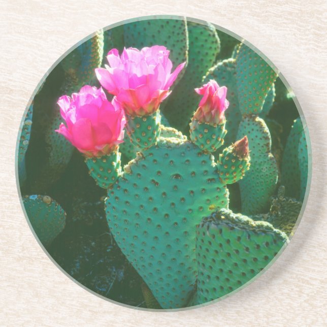 Posavasos De Arenisca Flores de Opuntia basilaris (Frente)