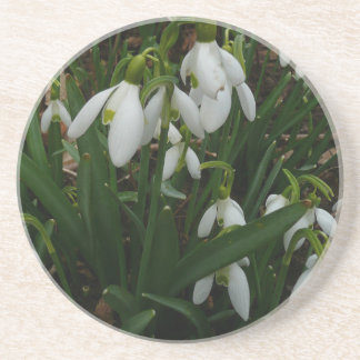 Posavasos De Arenisca Flores de Primavera Blanca (Galanthus)