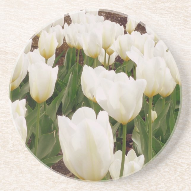 Posavasos De Arenisca Flores de tulipanes blancos (Frente)
