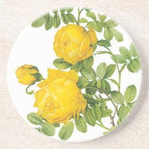 Posavasos De Arenisca Flores Florales Vintage, Rosas Amarillas por Redou
