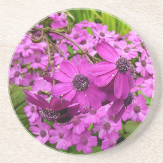 Posavasos De Arenisca Flores moradas de San Francisco