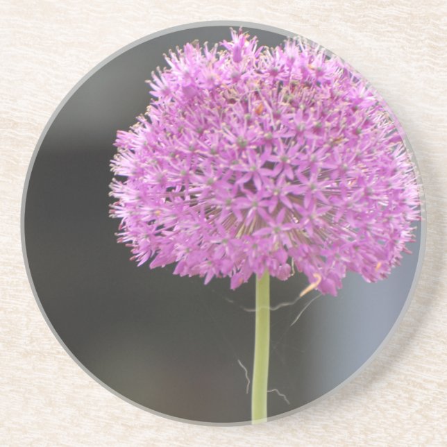 Posavasos De Arenisca Flores para todos (Frente)