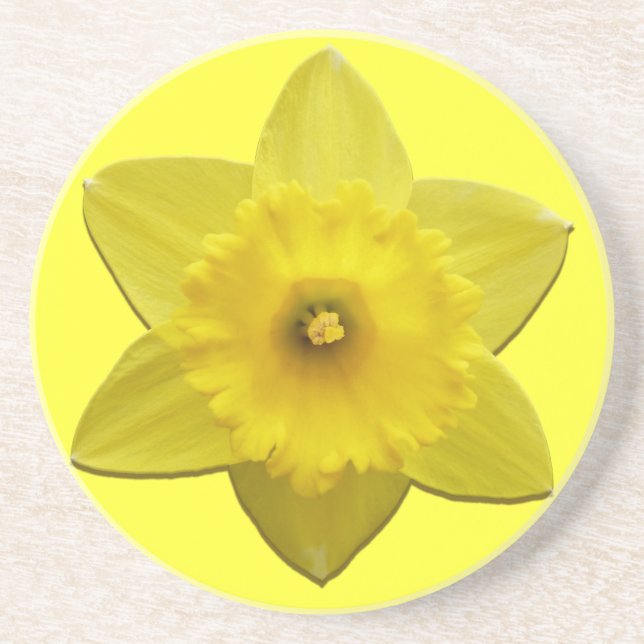 Posavasos De Arenisca Flores Primaverales Monador de Flores de Daffoldil (Frente)