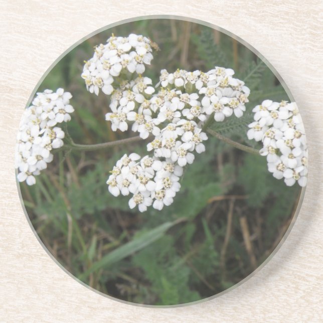 Posavasos De Arenisca Flores salvajes blancas (Frente)