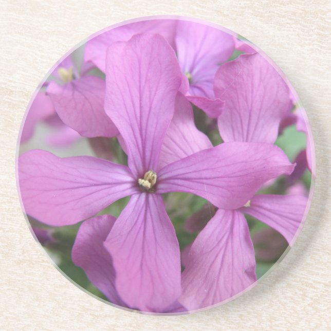 Posavasos De Arenisca Flores salvajes púrpura (Frente)