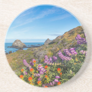 Posavasos De Arenisca Flores silvestres de lupino y pincel de pintor