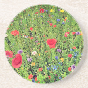 Posavasos De Arenisca Flores silvestres Primavera Foto Sandstone Drink C