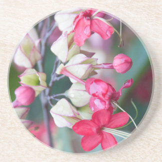 Posavasos De Arenisca Flores tropicales rojas y blancas