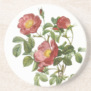 Posavasos De Arenisca Flores Vintage Floral Rosa Roja del Amor por Redou