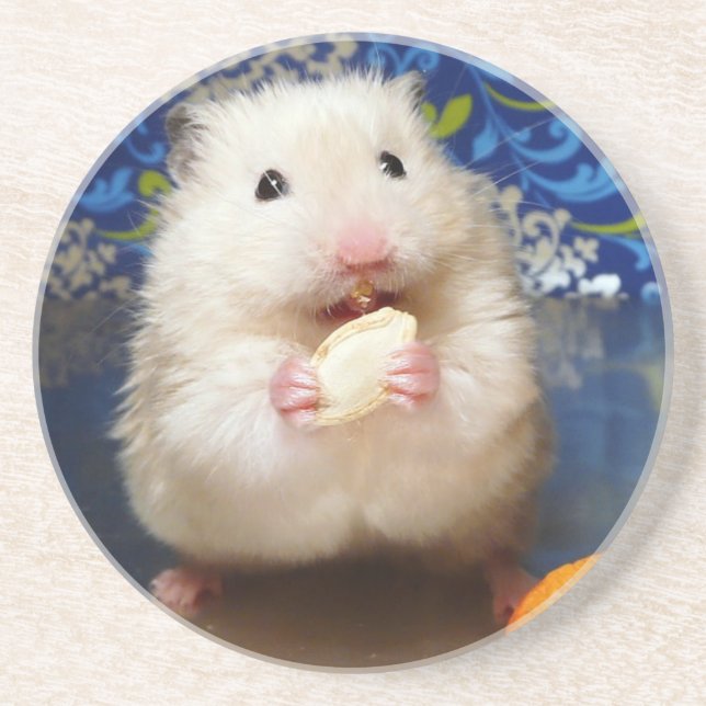 Posavasos De Arenisca Fluffy Syrian Hamster Kokolinka (Frente)