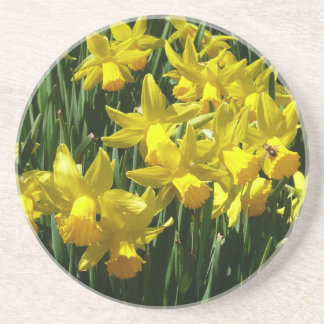 Posavasos De Arenisca Focos amarillos y flores de primavera alegres