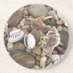 Posavasos De Arenisca Fondo de Shell del mar
