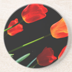 Posavasos De Arenisca Fondo negro de las flores de tulipán rojas del nar